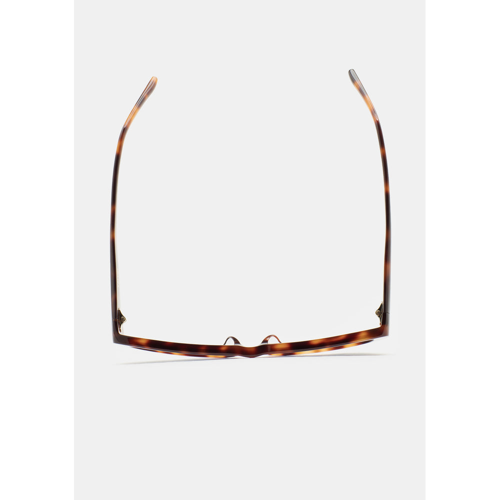 Kaleos Minx Havane 02 vue de dessus - Les Lunettes de Pauline