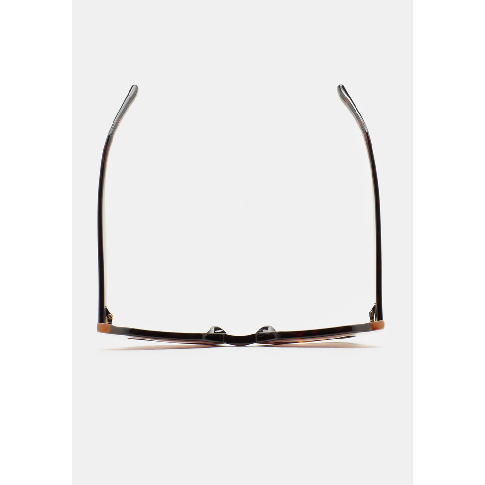 Kaleos Gun Havane Foncé 02 vue de dessus - Les Lunettes de Pauline