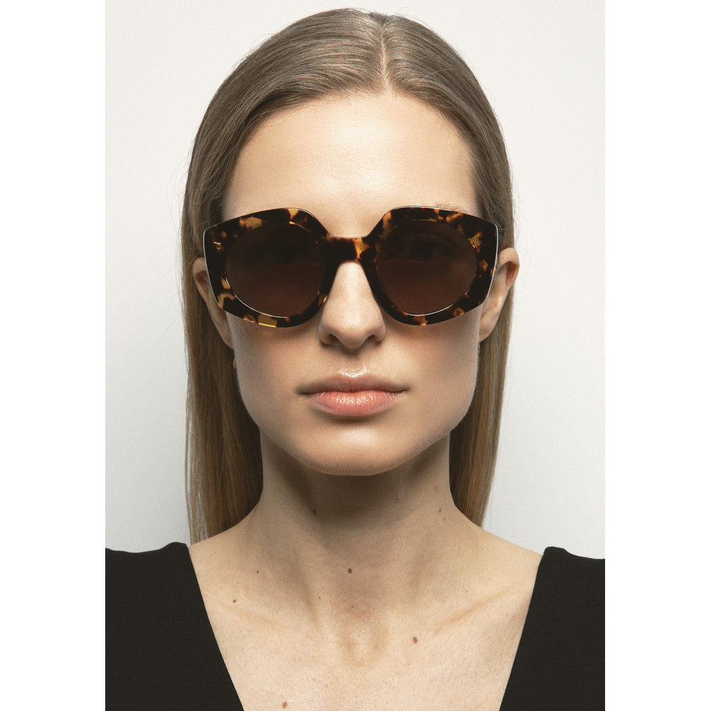 Kaleos Almeida Havane Moucheté 02 portée - Les Lunettes de Pauline