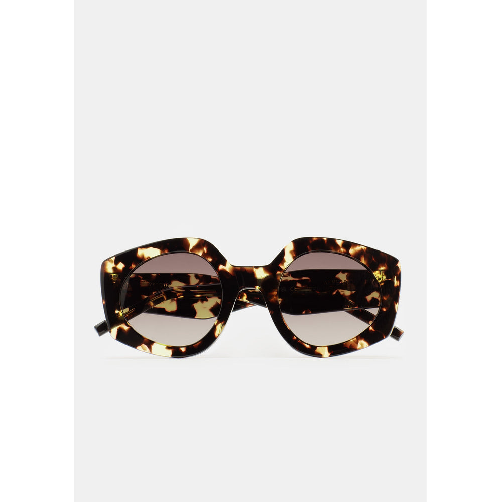 Kaleos Almeida Havane Moucheté 02 de face - Les Lunettes de Pauline