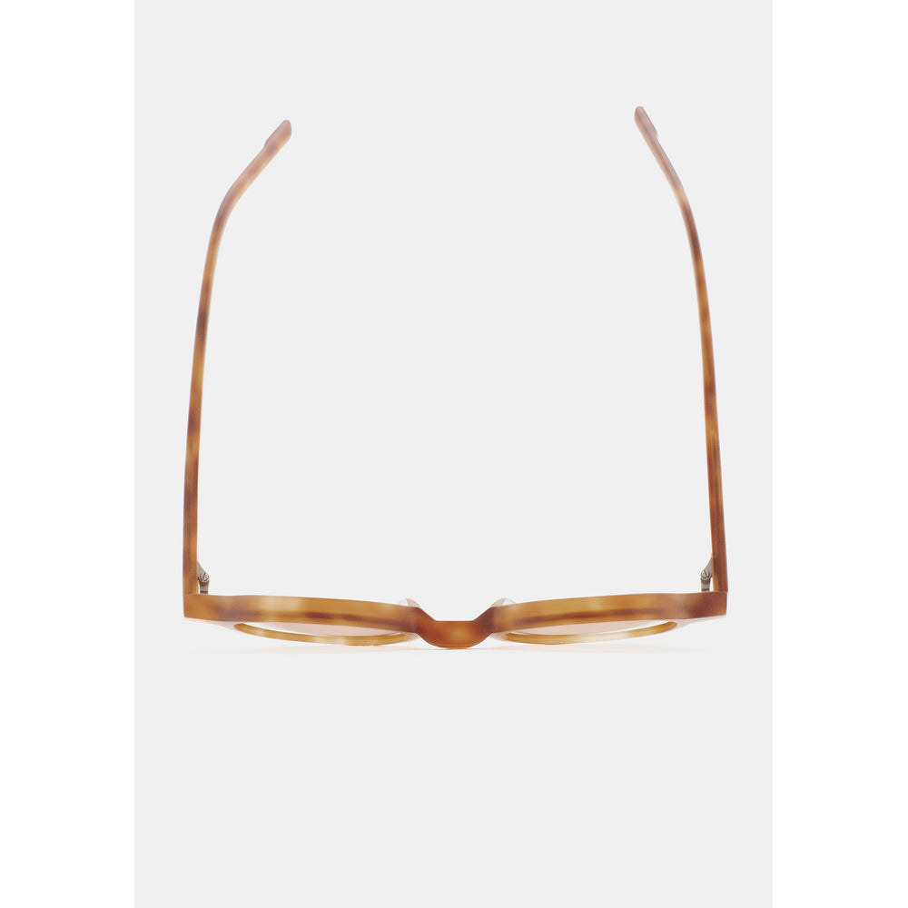 Kaleos Higgins Havane Ambré Mat 04 vue de dessus - Les Lunettes de Pauline