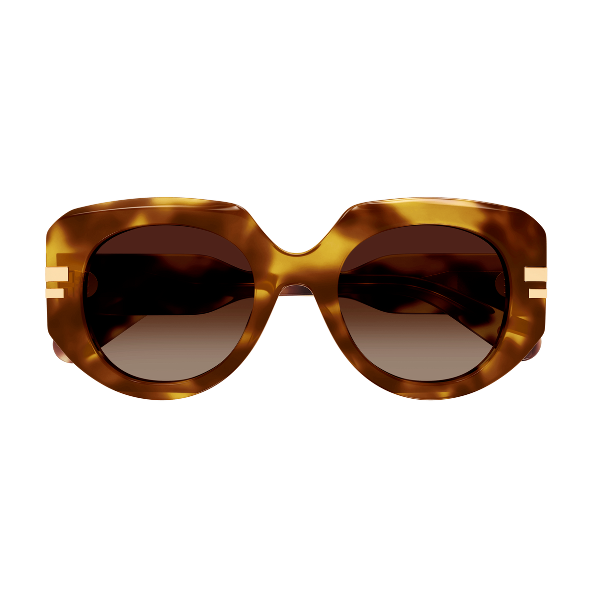 Chloé CH0257S Écaille Havane 002 de face - Les Lunettes de Pauline