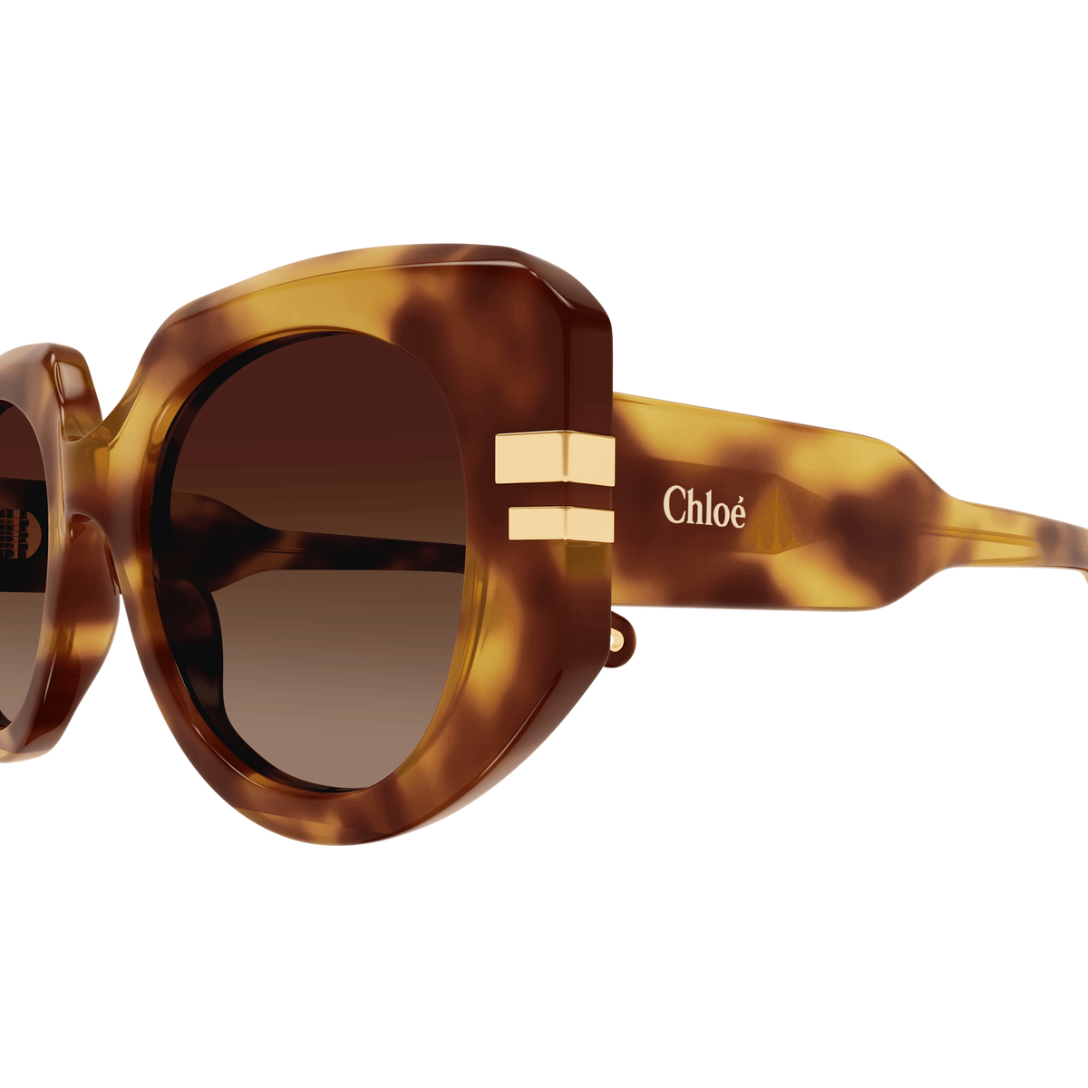 Chloé CH0257S Écaille Havane 002 en détail des branches - Les Lunettes de Pauline
