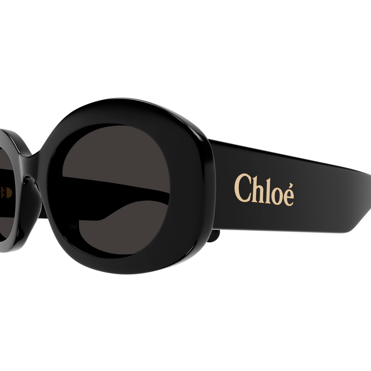 Chloé CH0258S en détail des branches - Les Lunettes de Pauline
