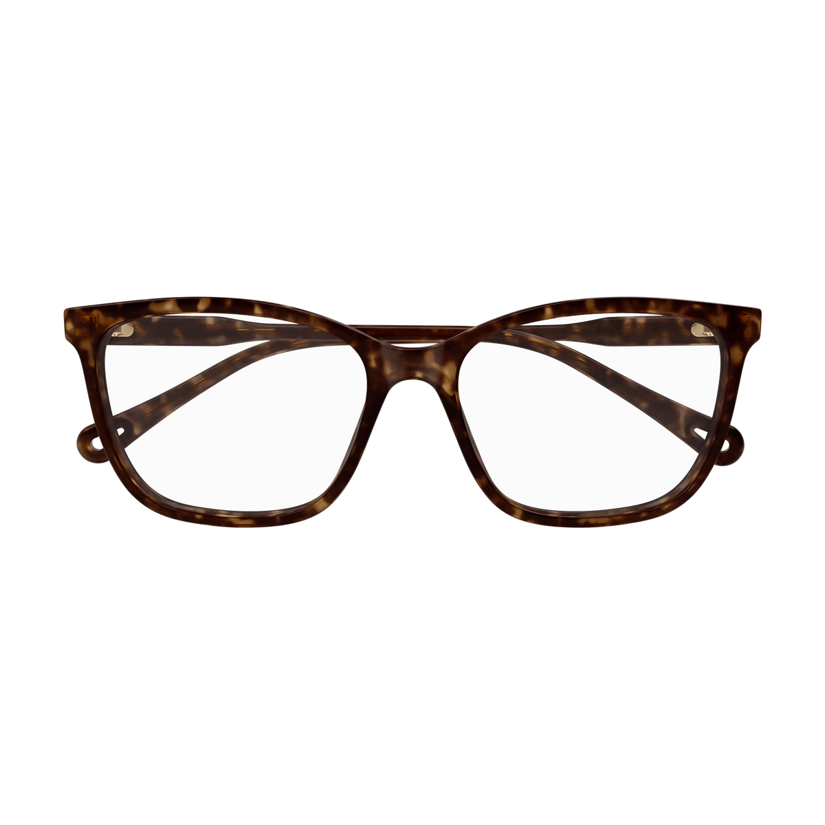 Chloé CH0318O Écaille Havane 002 de face - Les Lunettes de Pauline