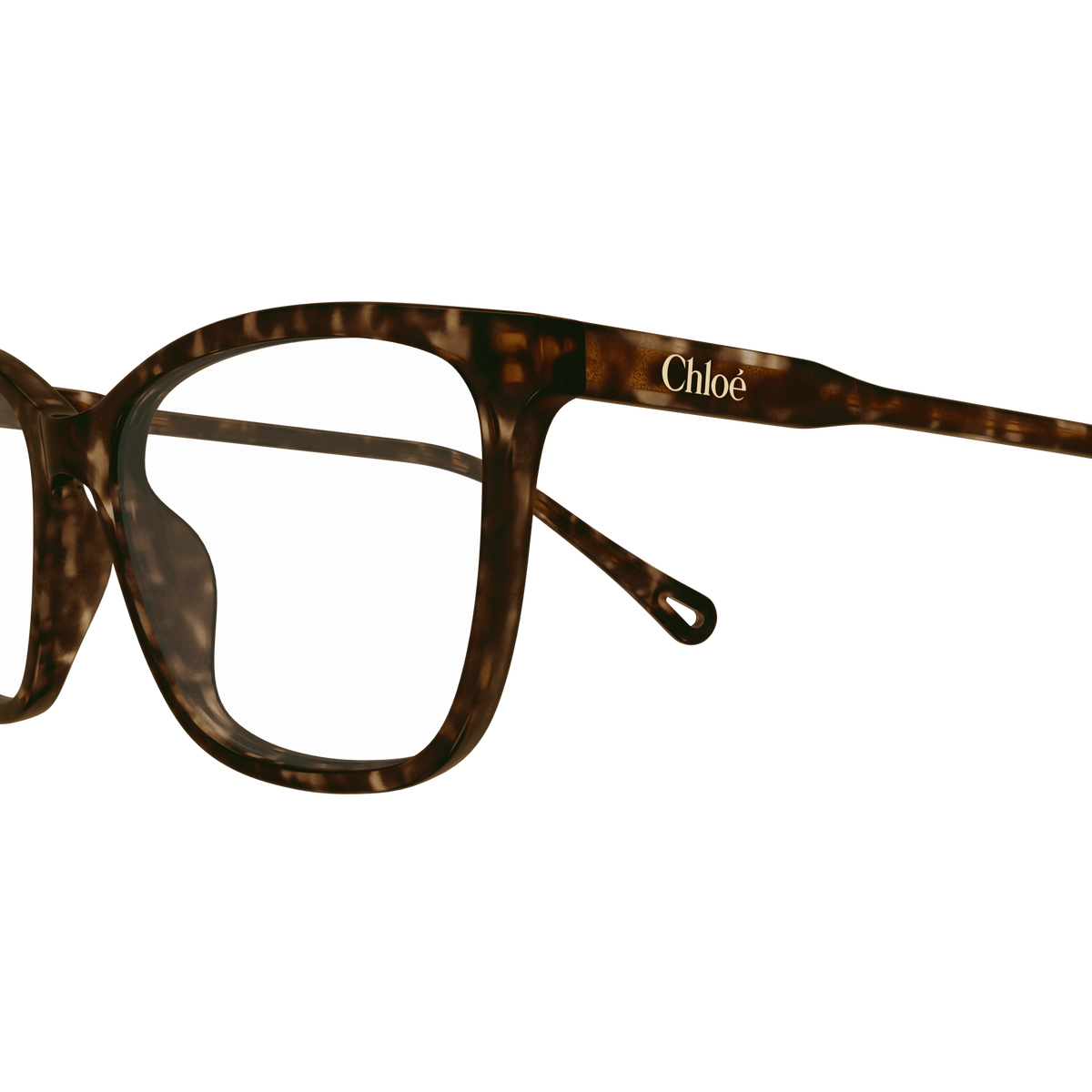 Chloé CH0318O Écaille Havane 002 en détail des branches - Les Lunettes de Pauline
