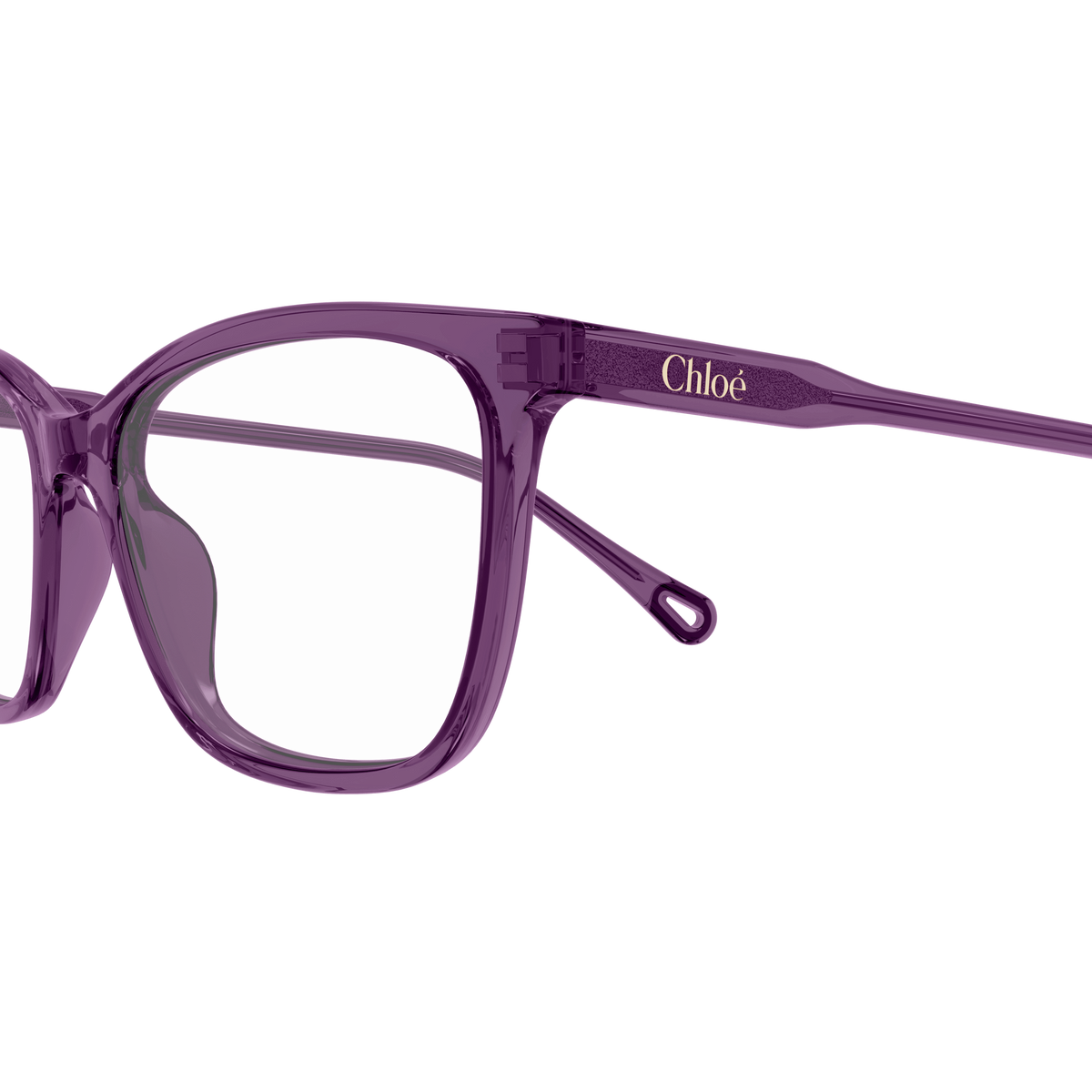 Chloé CH0318O Prune 004 en détail des branches - Les Lunettes de Pauline