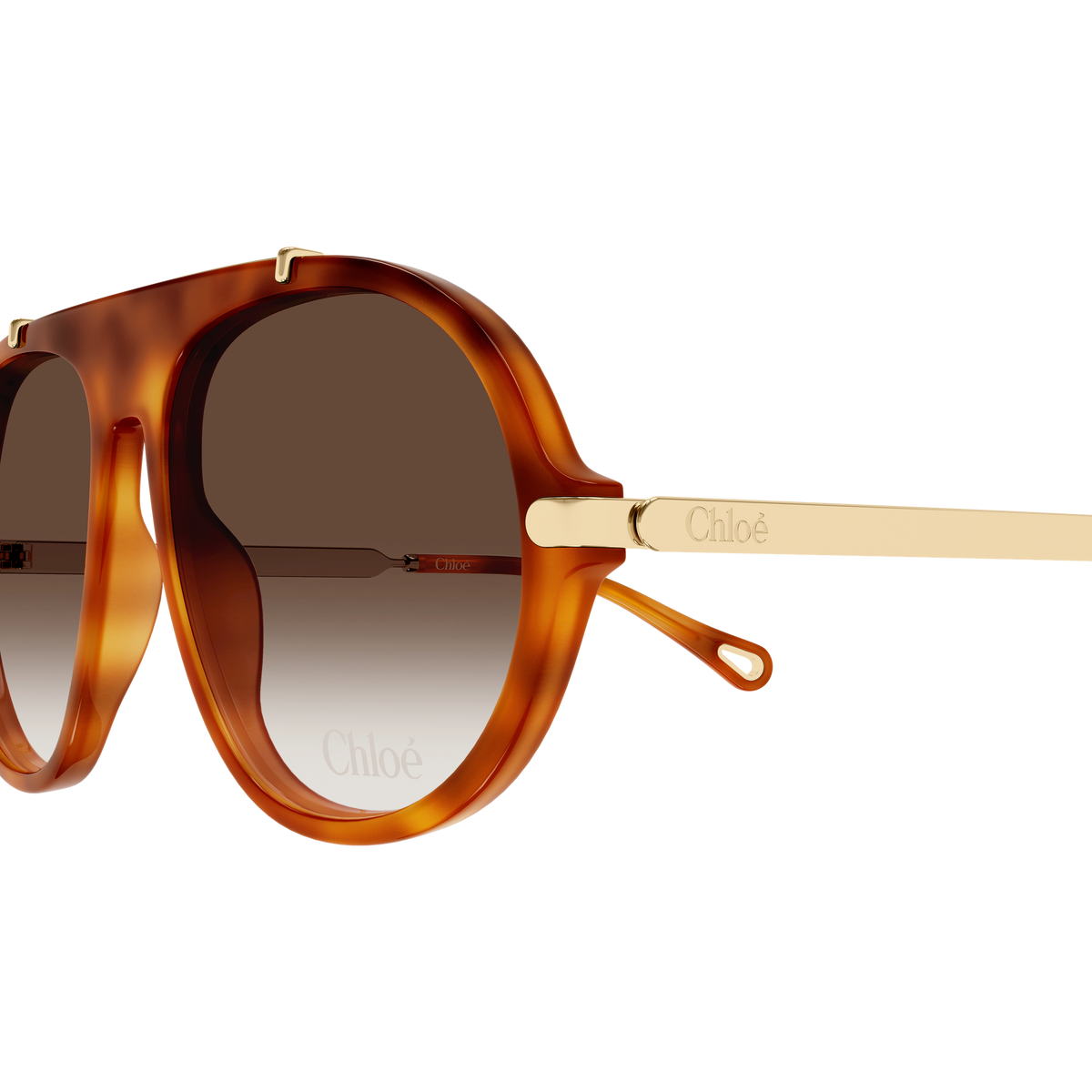 Chloé CH0357S Écaille Or 002 en détail des branches - Les Lunettes de Pauline