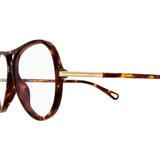 Chloé CH0398O Écaille 002 en détail des branches - Les Lunettes de Pauline