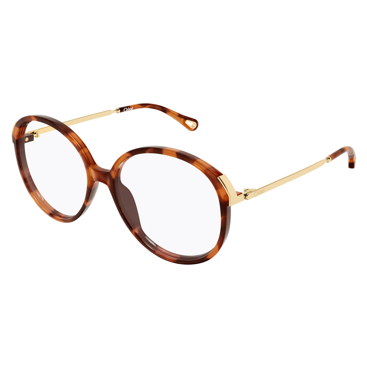 Chloé CH0408O Écaille Or 002 de trois-quarts - Les Lunettes de Pauline