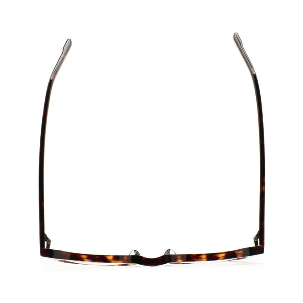 Kaleos Berkus L Havane Foncé 02 vue de dessus - Les Lunettes de Pauline