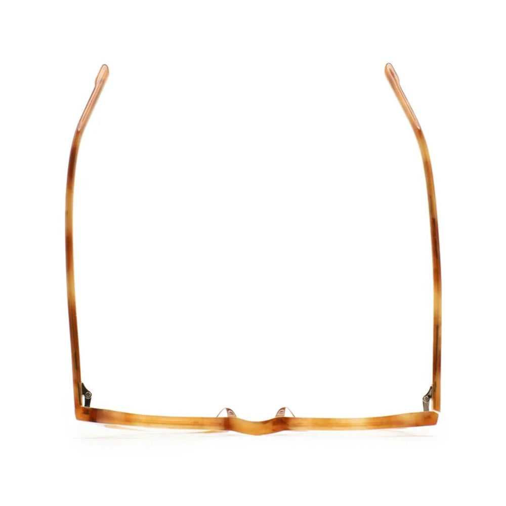 Kaleos Berkus M Havane Ambré 04 vue de dessus - Les Lunettes de Pauline
