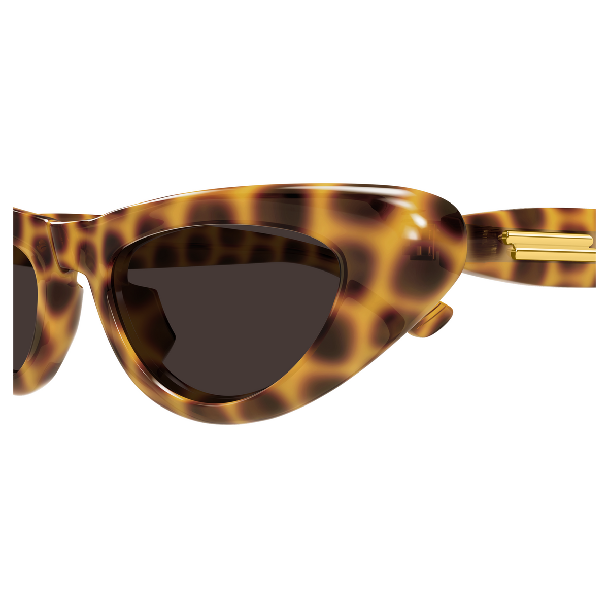 Bottega Veneta BV1450S Écaille Havane 002 en détail des branches - Les Lunettes de Pauline