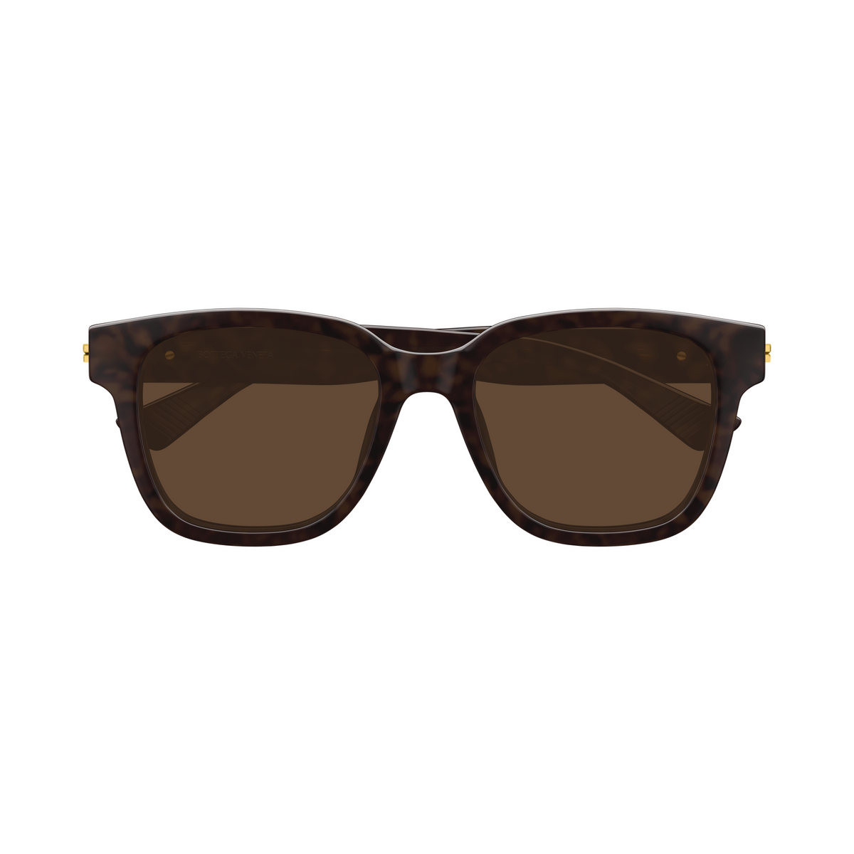 Bottega Veneta BV1461SK Écaille Havane 002 de face - Les Lunettes de Pauline