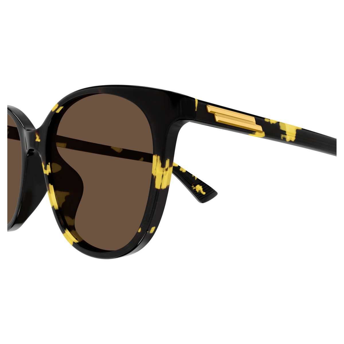 Bottega Veneta BV1515SK Écaille Havane 002 en détail des branches - Les Lunettes de Pauline