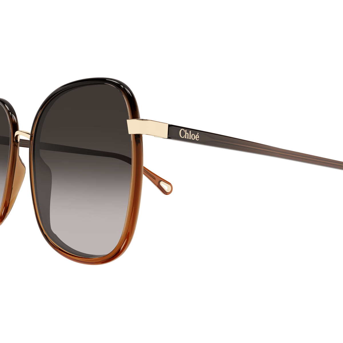Chloé CH0031S Noir et Caramel 005 en détail des branches - Les Lunettes de Pauline