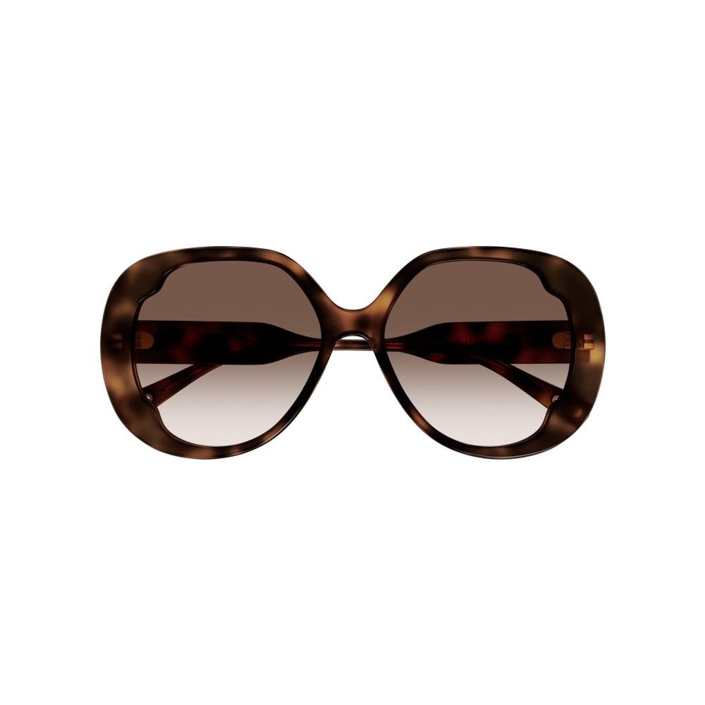 Chloé CH0195S - Les Lunettes de Pauline