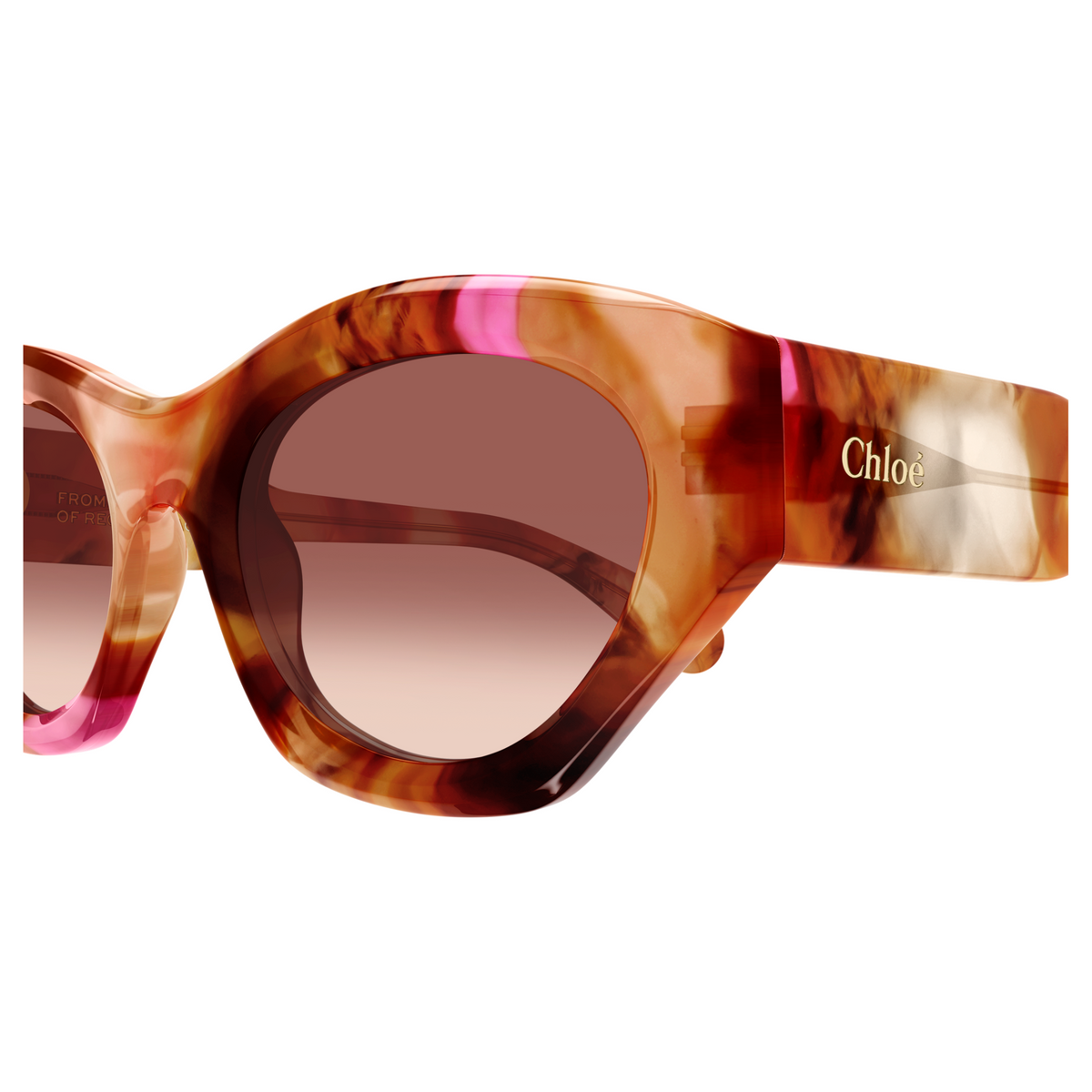 Chloé CH0220S Écaille Havane 016, détail des branches - Les Lunettes de Pauline