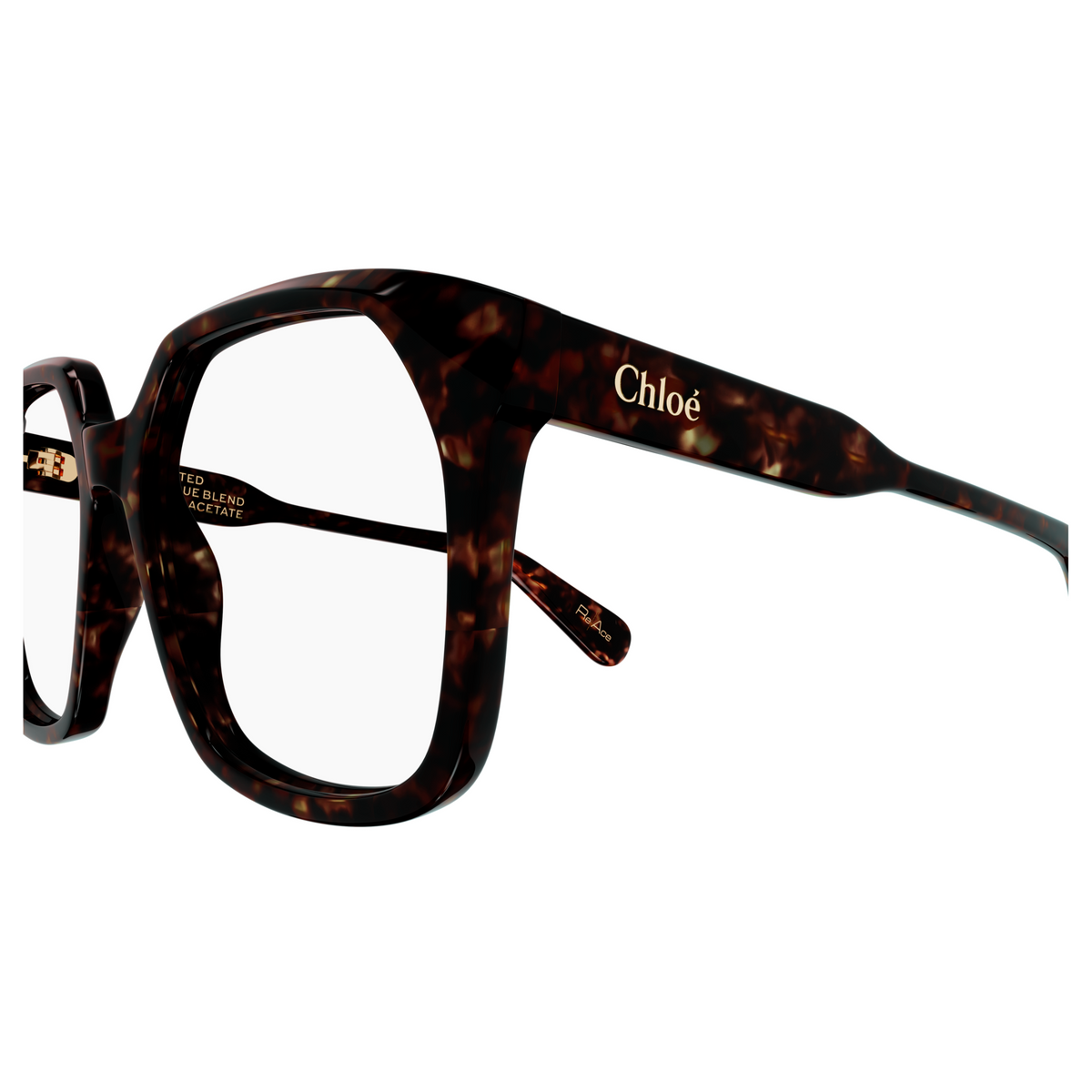 Chloé CH0263O Écaille Havane 009, détail des branches - Les Lunettes de Pauline