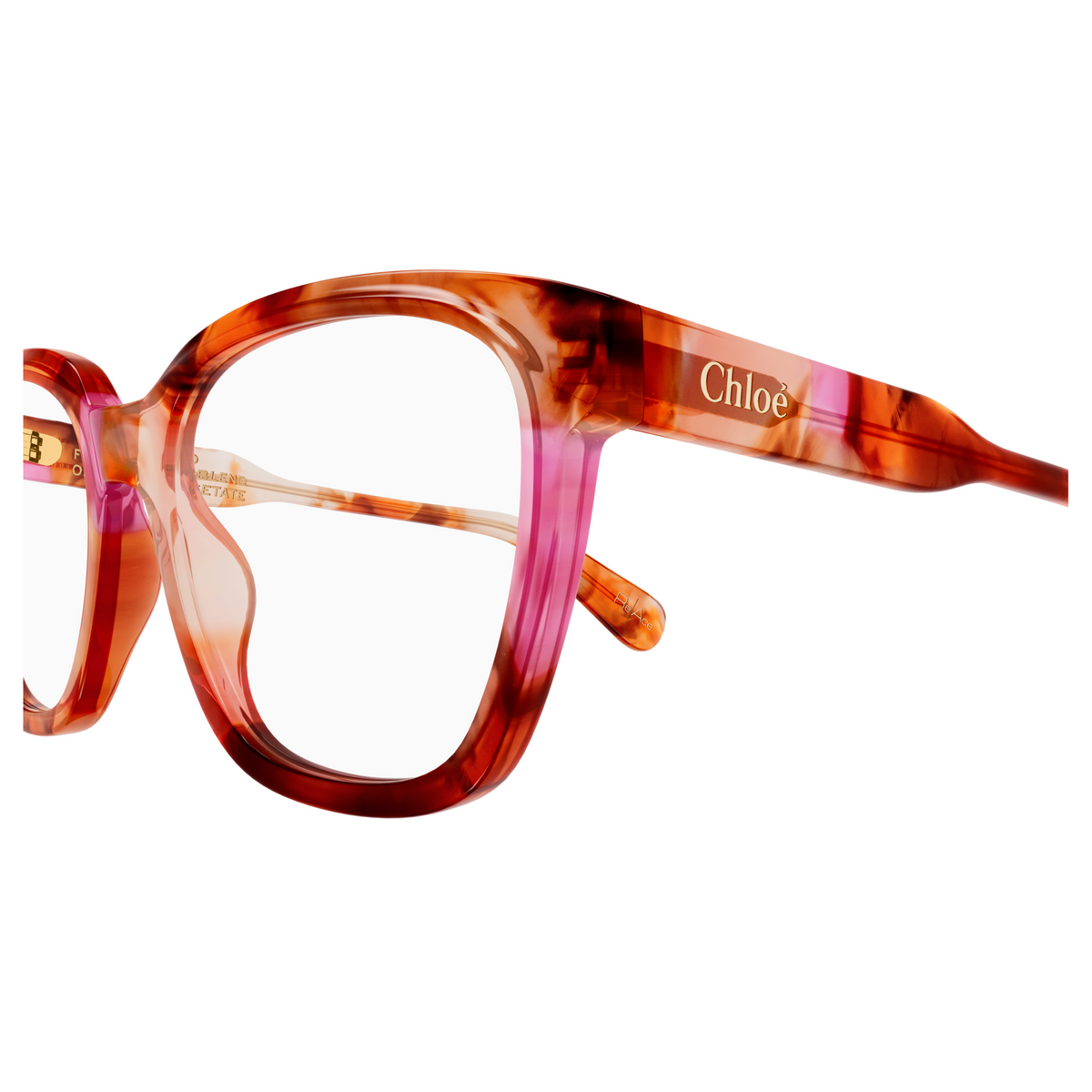 Chloé CH0265O Écaille Havane 008, détail des branches - Les Lunettes de Pauline