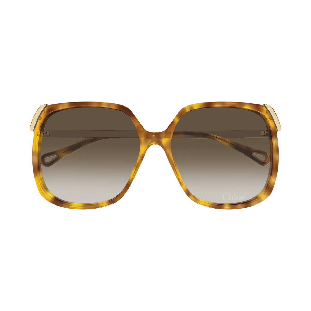 Chloé CH0286S Écaille Havane 010 de face - Les Lunettes de Pauline