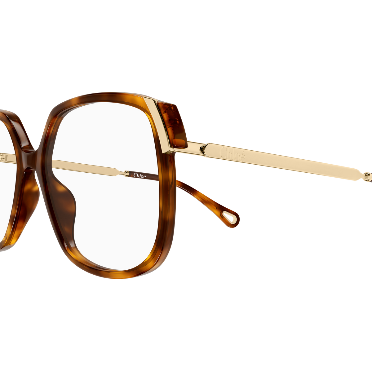 Chloé CH0287O Écaille Havane 007 en détail des branches - Les Lunettes de Pauline