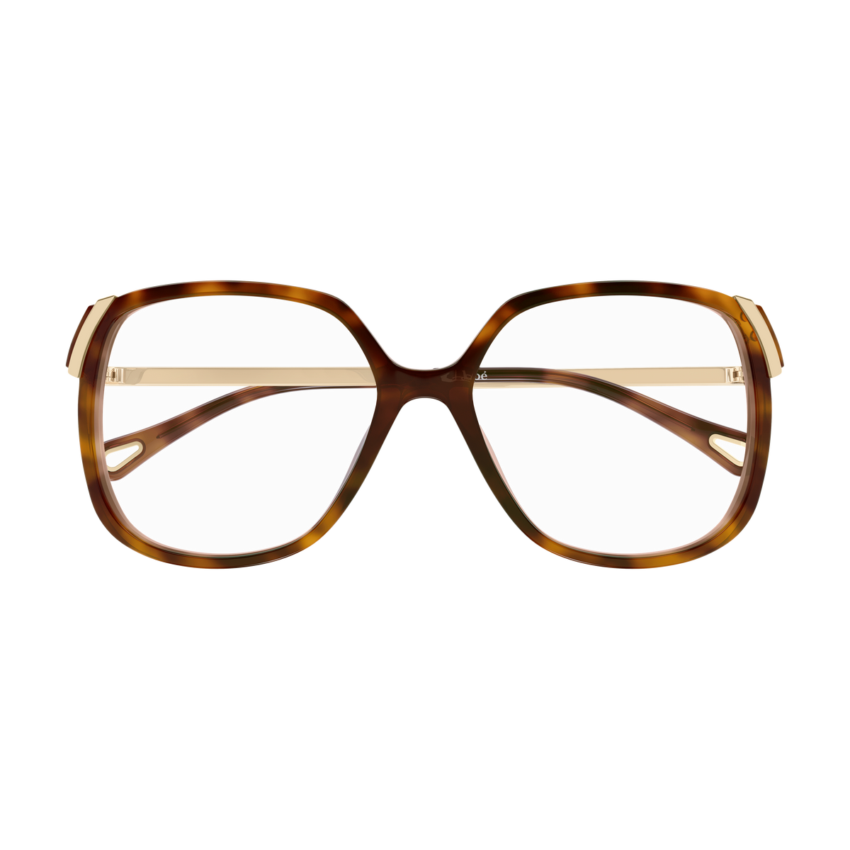 Chloé CH0287O Écaille Havane 007 de face - Les Lunettes de Pauline