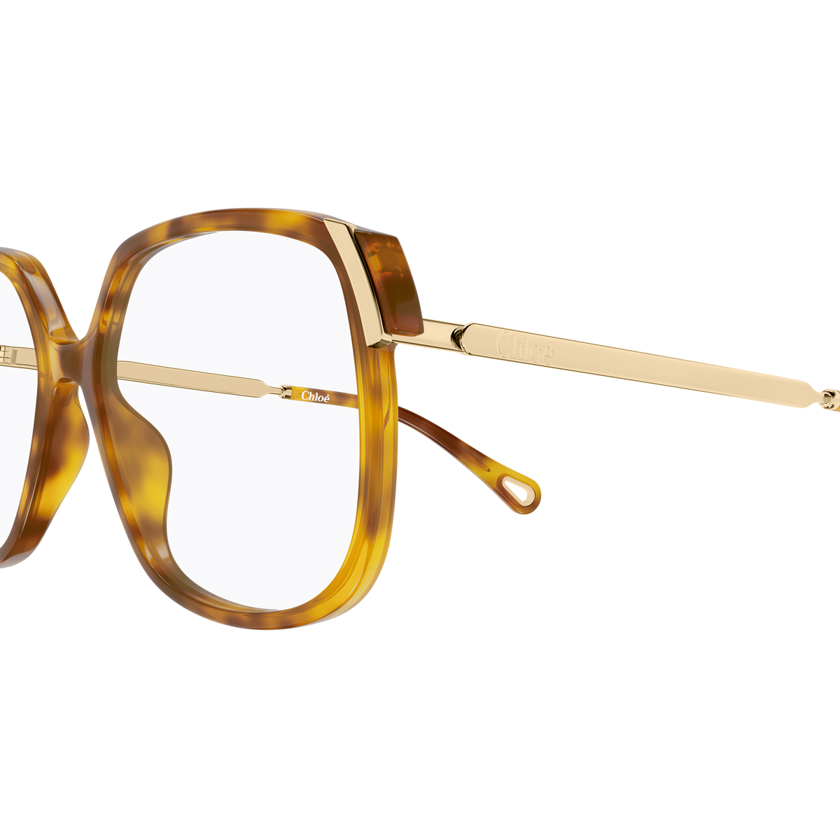Chloé CH0287O Écaille Havane 008 en détail des branches - Les Lunettes de Pauline