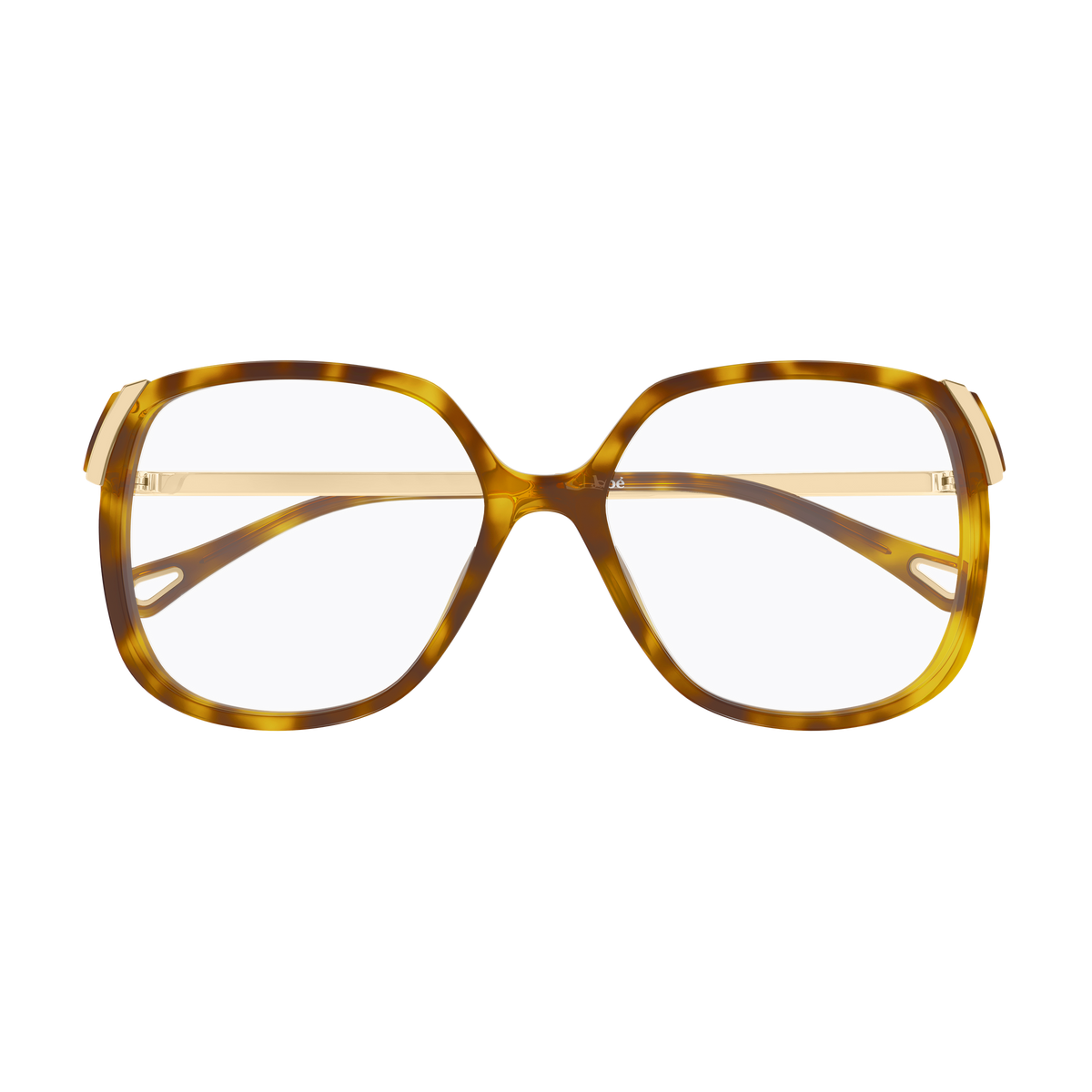 Chloé CH0287O Écaille Havane 008 de face - Les Lunettes de Pauline