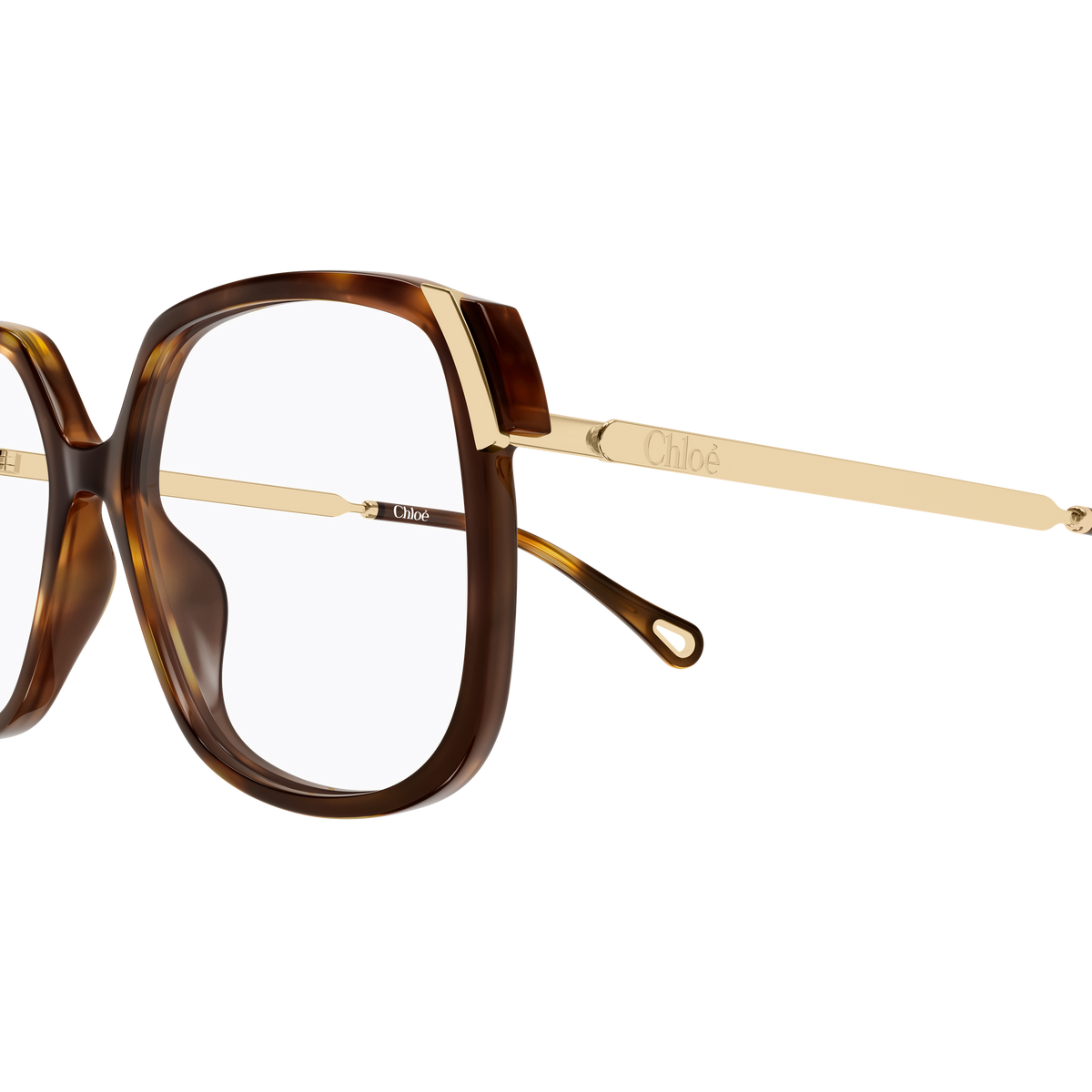 Chloé CH0287O Écaille Havane 010 en détail des branches - Les Lunettes de Pauline