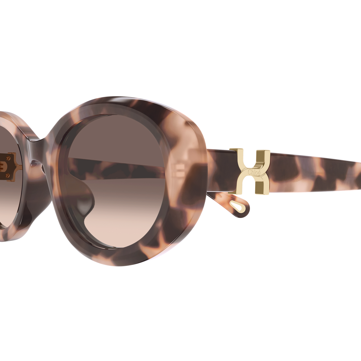 Chloé CH0323SK Écaille Havane 006 en détail des branches - Les Lunettes de Pauline