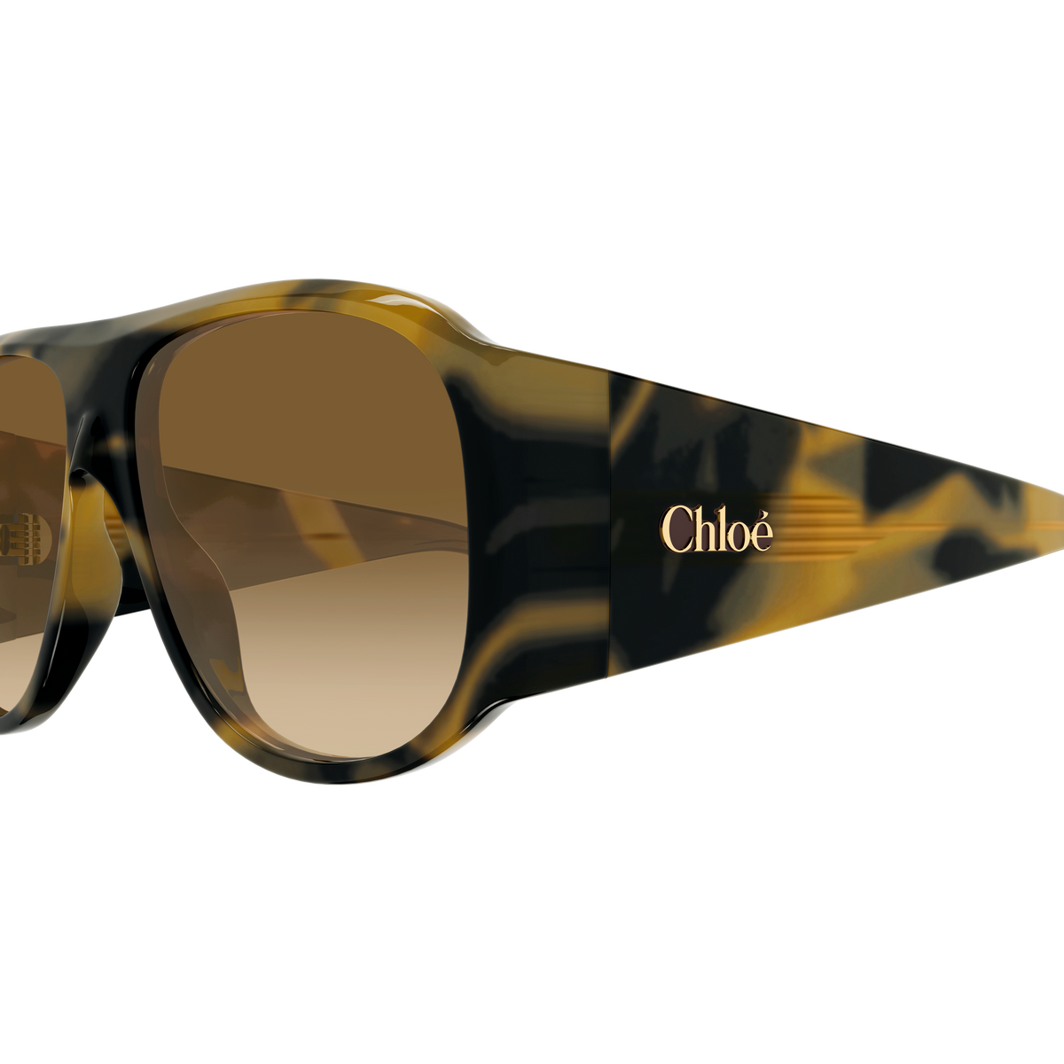 Chloé CH0347S Écaille Havane Claire 005 en détail des branches - Les Lunettes de Pauline