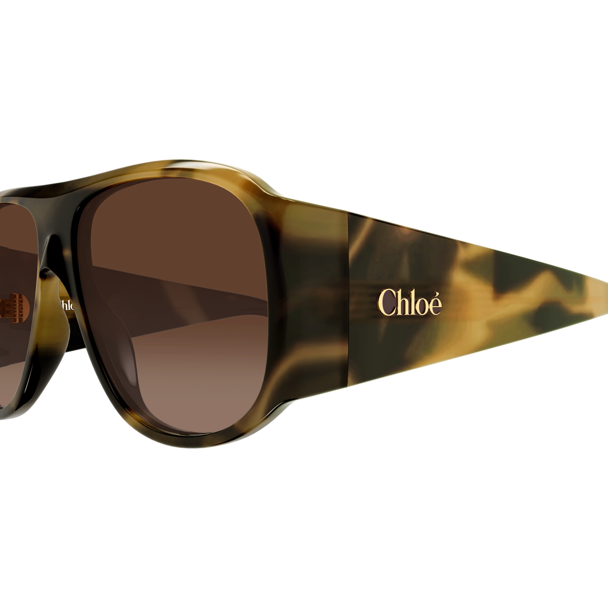 Chloé CH0347S Écaille Havane Foncée 008 en détail des branches - Les Lunettes de Pauline