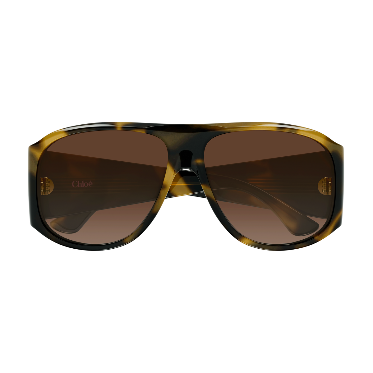 Chloé CH0347S Écaille Havane Foncée 008 de face - Les Lunettes de Pauline