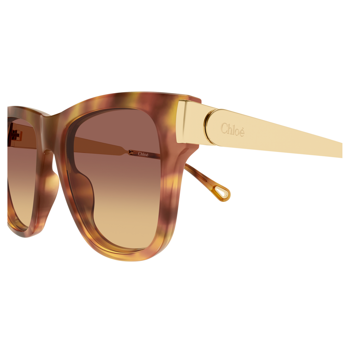 Chloé CH0349S Écaille Havane 002, détail des branches - Les Lunettes de Pauline