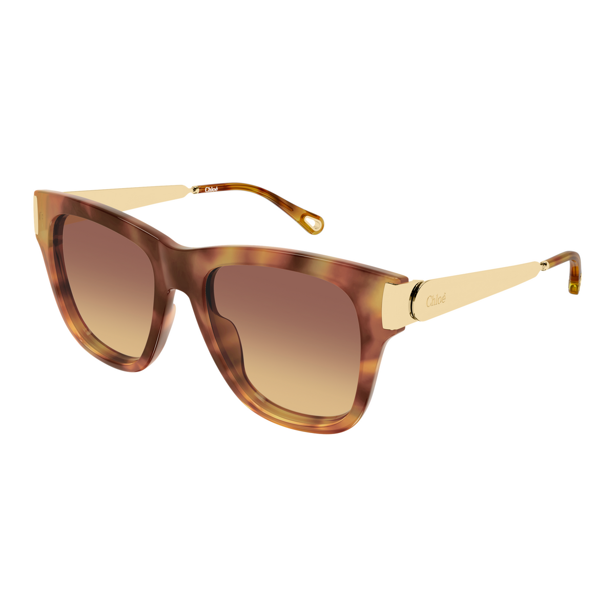Chloé CH0349S Écaille Havane 002 de trois-quarts - Les Lunettes de Pauline