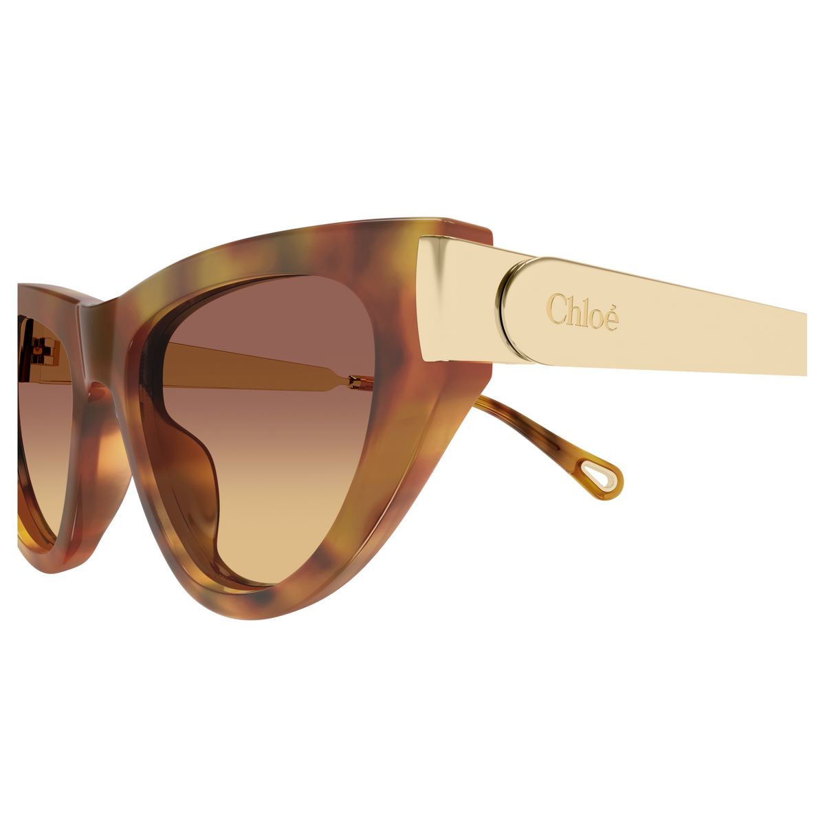 Chloé CH0350S Écaille Blonde 002, détail des branches - Les Lunettes de Pauline