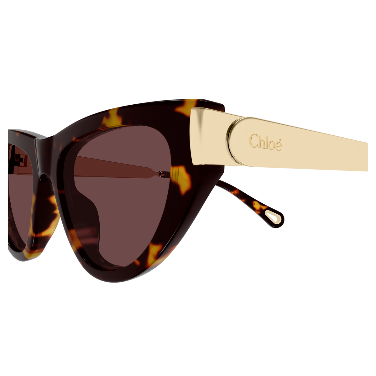 Chloé CH0350S Écaille Havane 003, détail des branches - Les Lunettes de Pauline