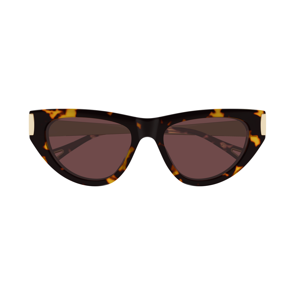 Chloé CH0350S Écaille Havane 003 de face - Les Lunettes de Pauline