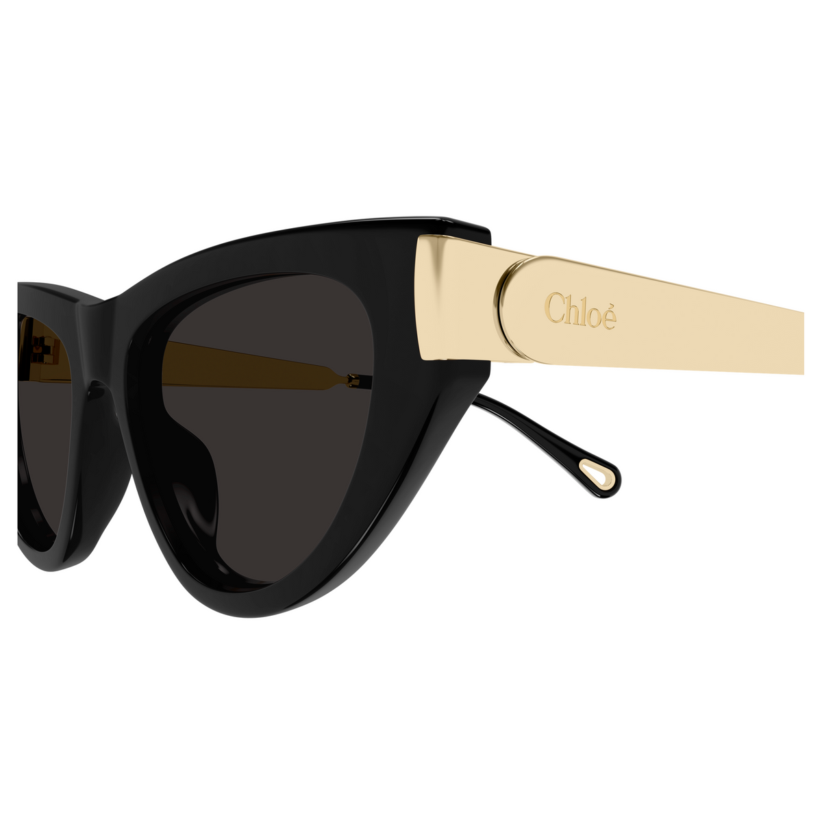 Chloé CH0350S Noir 001, détail des branches - Les Lunettes de Pauline