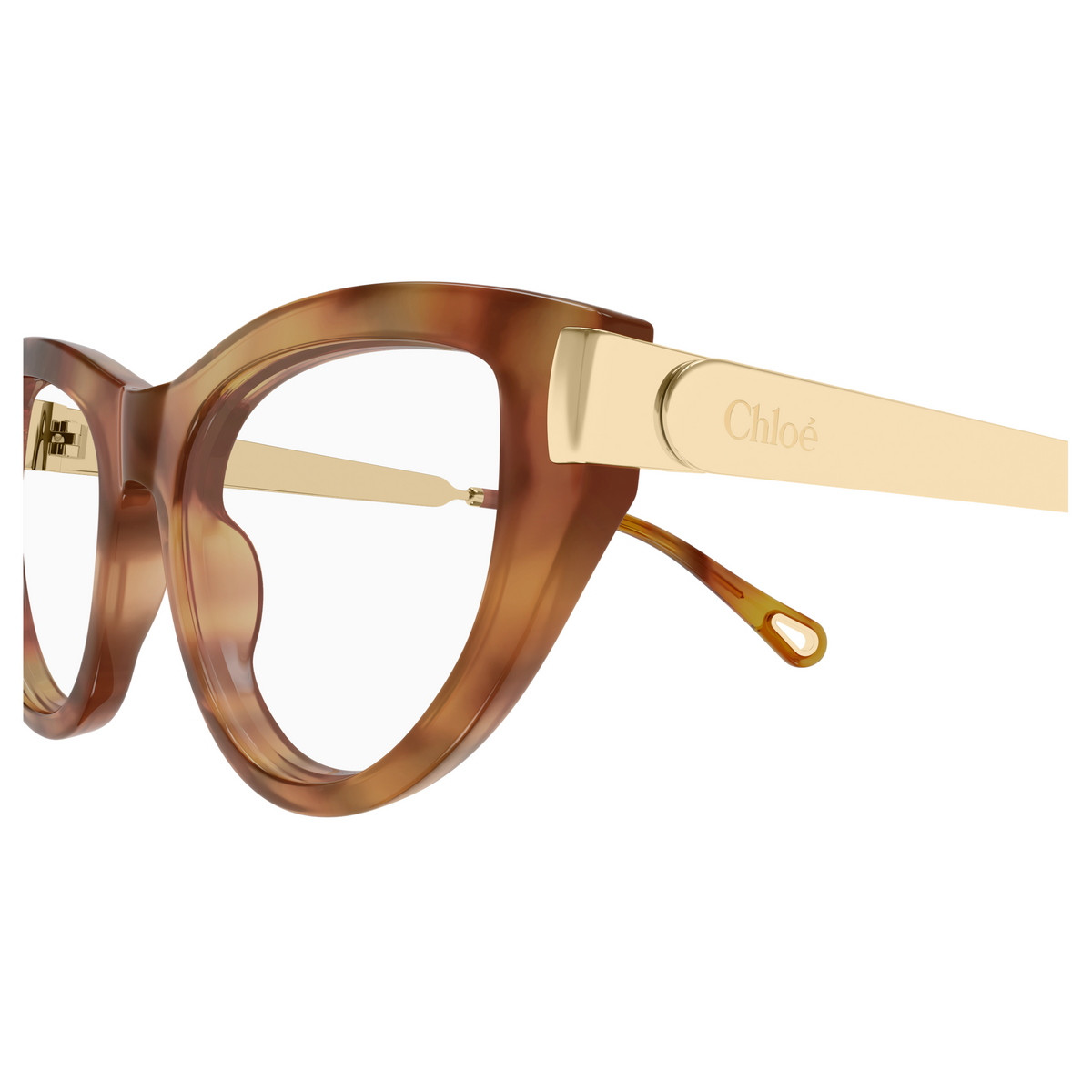 Chloé CH0352O Écaille Havane 002, détail des branches - Les Lunettes de Pauline