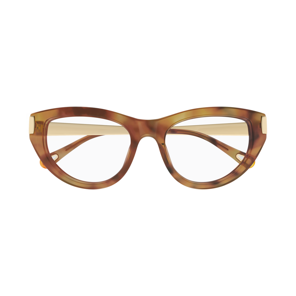 Chloé CH0352O Écaille Havane 002 de face - Les Lunettes de Pauline