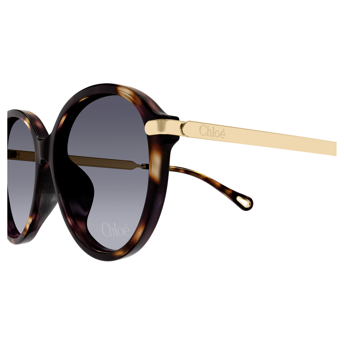 Chloé CH0358SK Écaille Violet 002, détail des branches - Les Lunettes de Pauline
