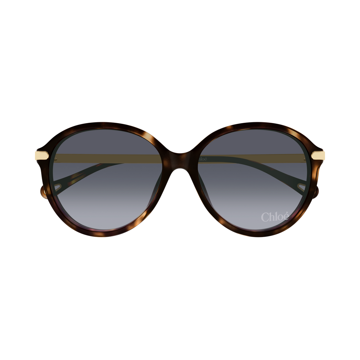 Chloé CH0358SK Écaille Violet 002 de face - Les Lunettes de Pauline