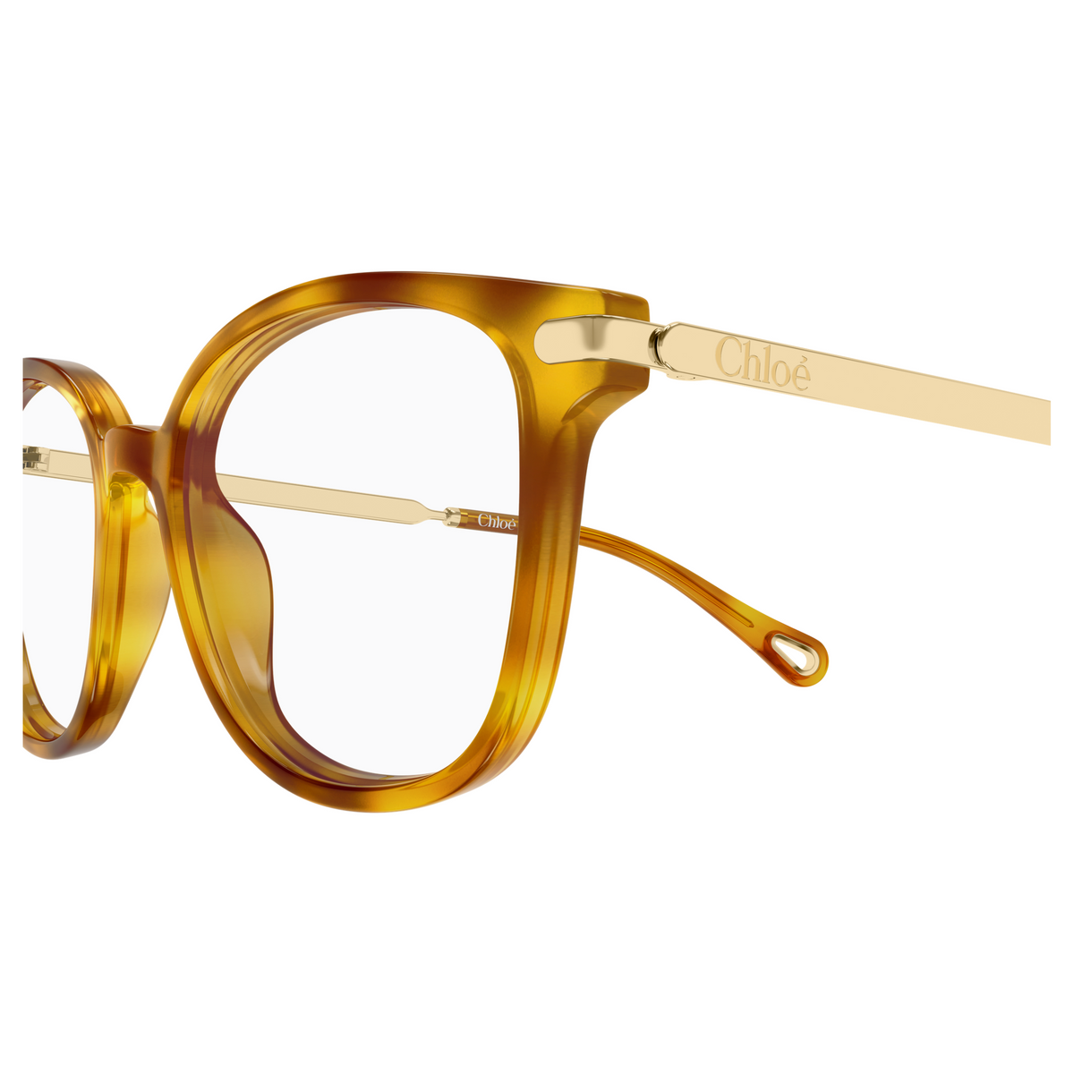 Chloé CH0359O Écaille Havane 002, détail des branches - Les Lunettes de Pauline