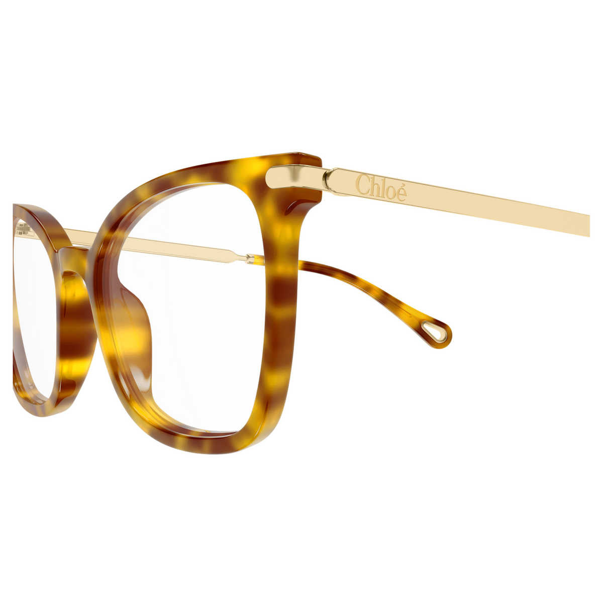 Chloé CH0360O Écaille Havane 002, détail des branches - Les Lunettes de Pauline