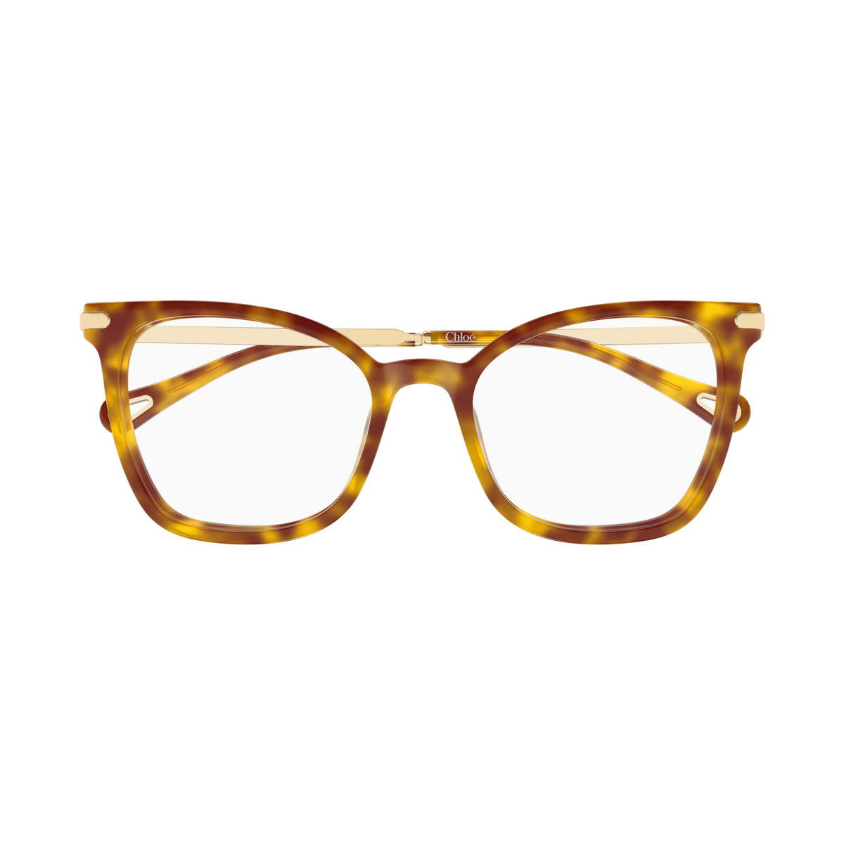 Chloé CH0360O Écaille Havane 002 de face - Les Lunettes de Pauline