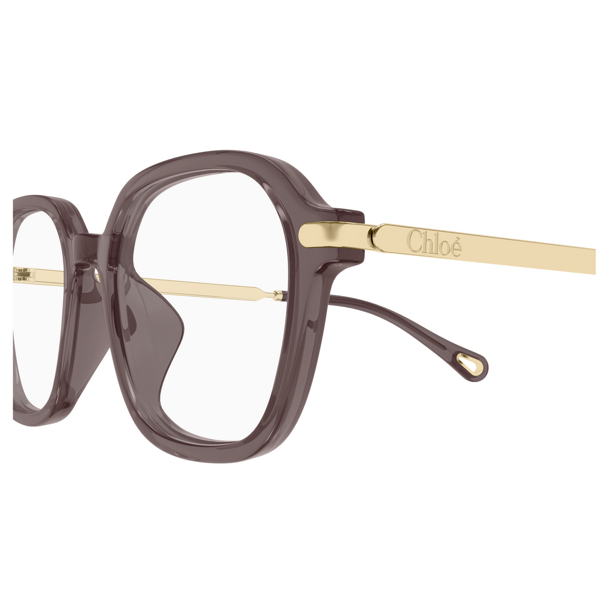 Chloé CH0361OA Brun 001, détail des branches - Les Lunettes de Pauline