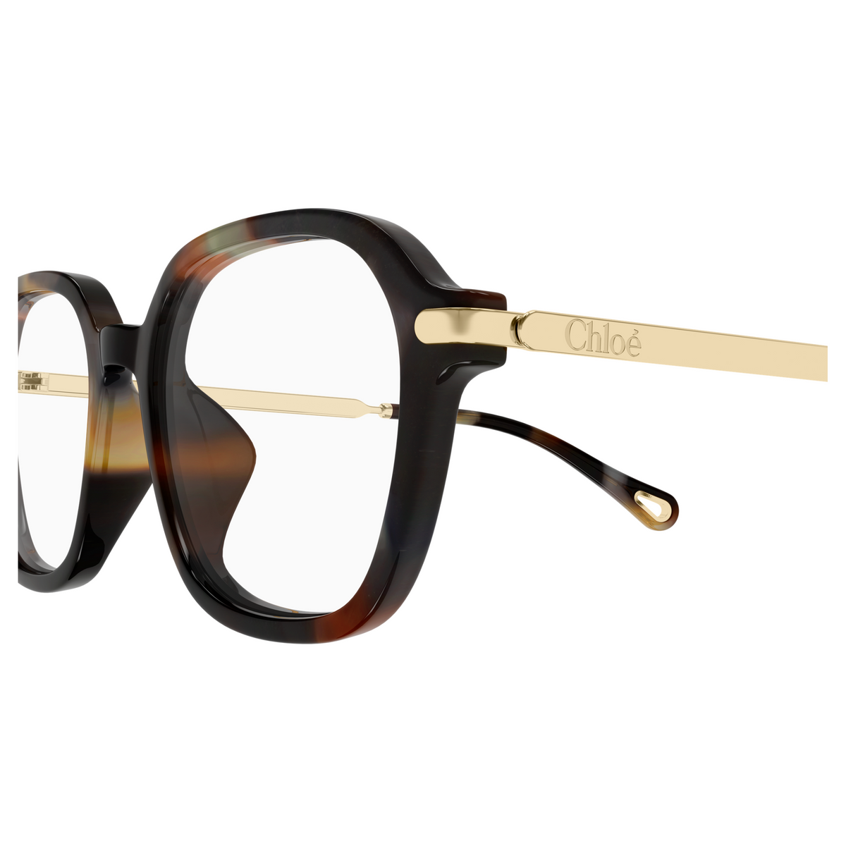 Chloé CH0361OA Écaille Havane 002, détail des branches - Les Lunettes de Pauline