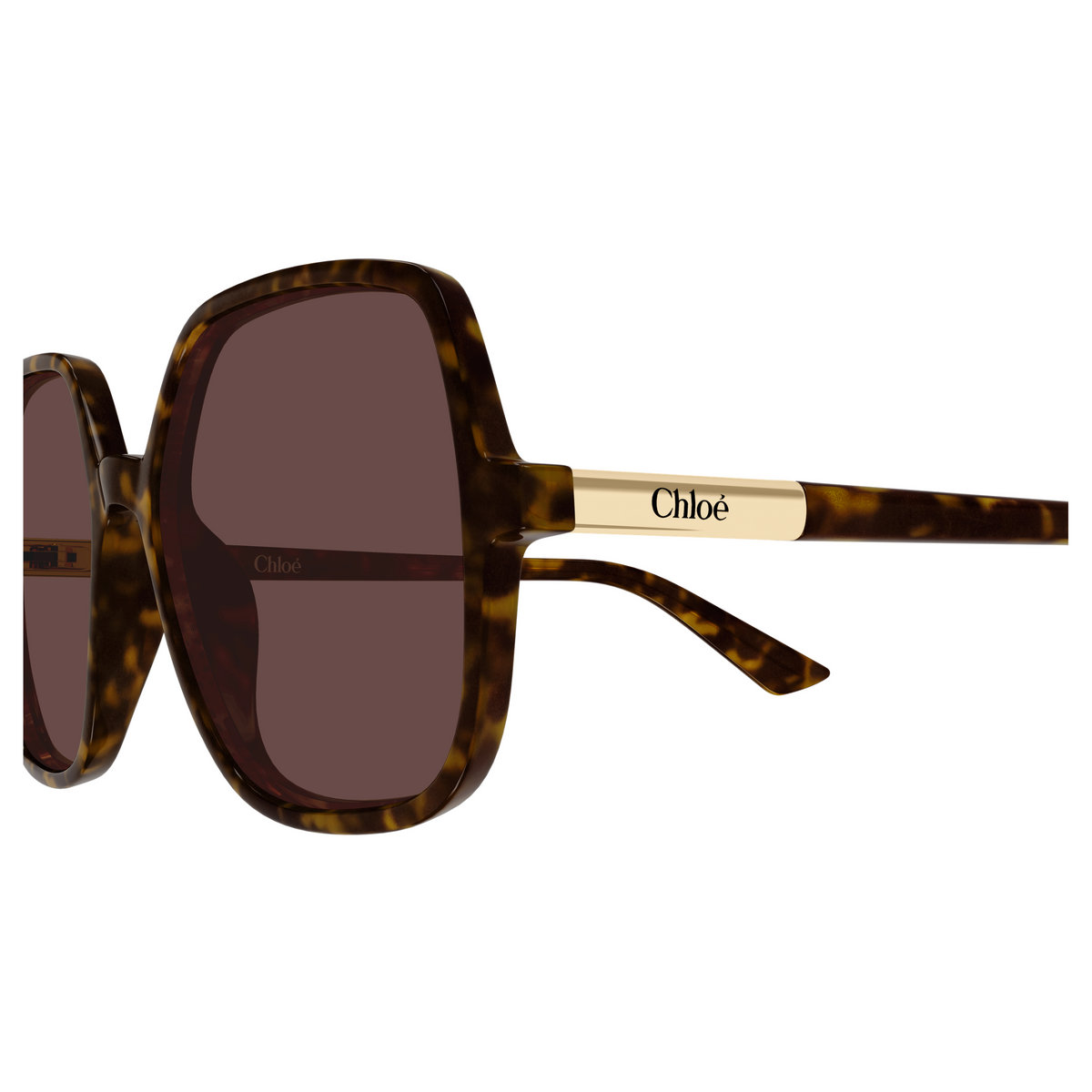Chloé CH0362S Écaille Havane 002, détail des branches - Les Lunettes de Pauline